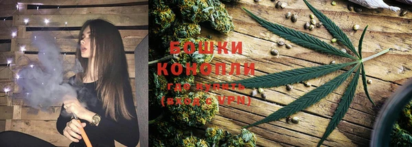 тгк Белокуриха