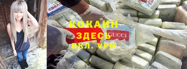 тгк Белокуриха