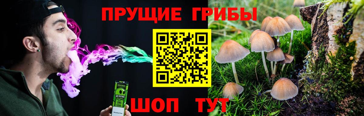 Галлюциногенные грибы Cubensis  Псилоцибиновые грибы Magic Shrooms  Вход с VPN  Луховицы 